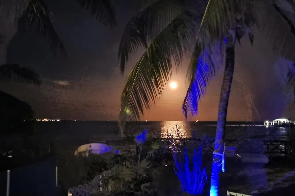 Villa On The Beach Seaside Sunrise Haven 7 Bedroom Cancun Mexico