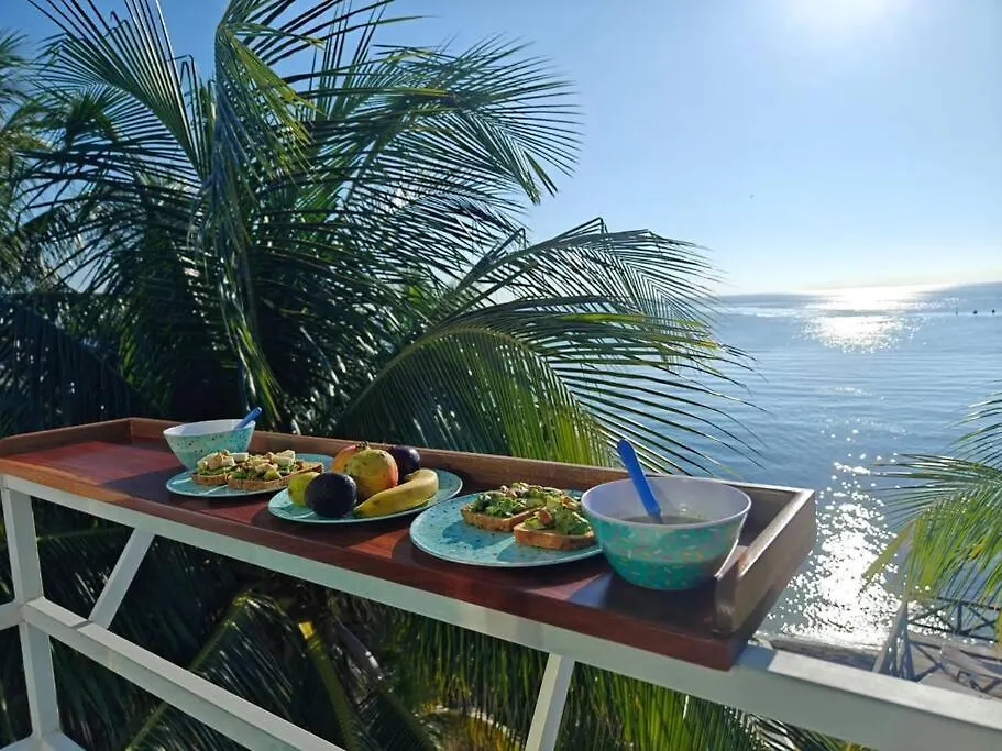 Villa On The Beach Seaside Sunrise Haven 7 Bedroom Cancun Mexico